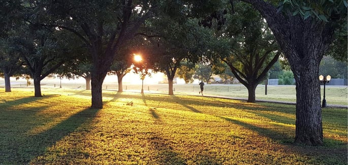 Deerfield-Remodeling-trees-sunrise-and-person-running-on-path