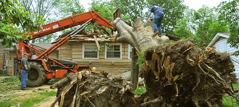Tulsa, OK, May 17, 2010 -- Workmen work carefully to remove a huge tree that fell on a home when the area was struck by a tornado on May 10. There were 22 confirmed tornadoes that swept the eastern half of the state, resulting in the fourth largest single-day oubreak in Oklahoma's history. FEMA Photo by Win Henderson