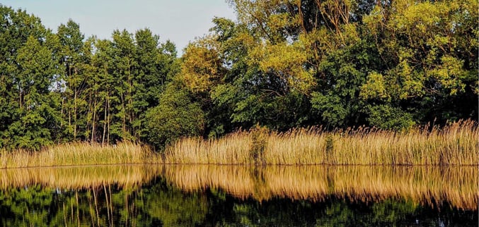 Lake-Barrington-Remodeling-with-pond