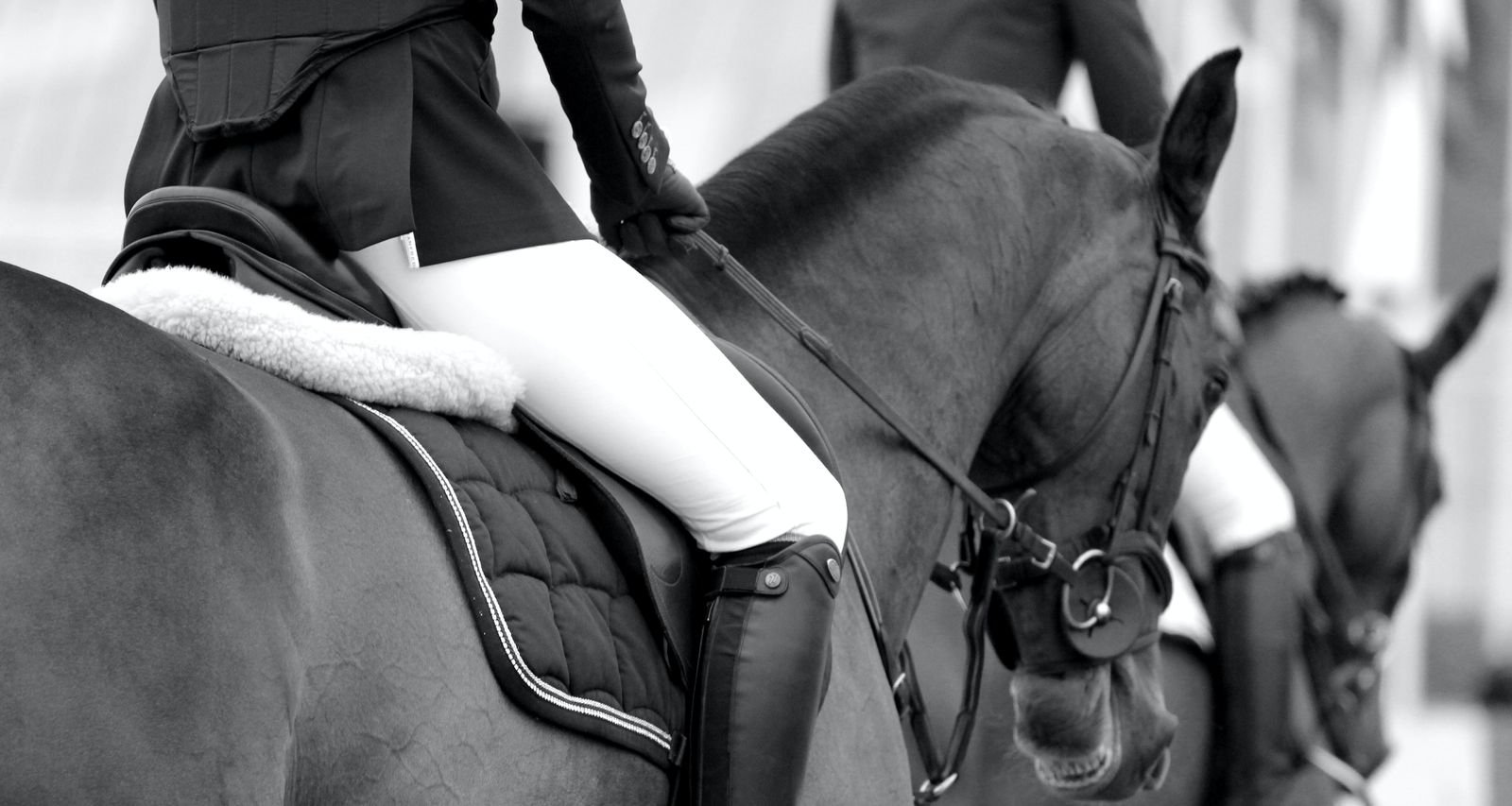 girl in barrington illinois riding perfectly groomed horse (1)