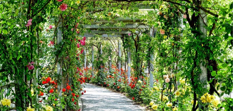 Buffalo Grove Remodeling flower and vine walkway Buffalo Grove Remodeling flower and vine walkway