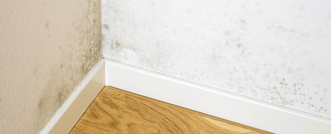 water-damage-drywall-stock-1