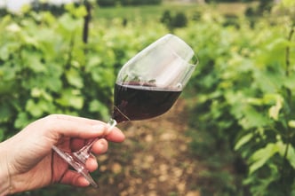 person holding glass of wine in vineyard in chicago area