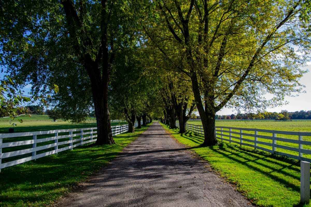 Farm driveway with green trees in Barrington, Illinois Farm driveway with green trees in Barrington, Illinois