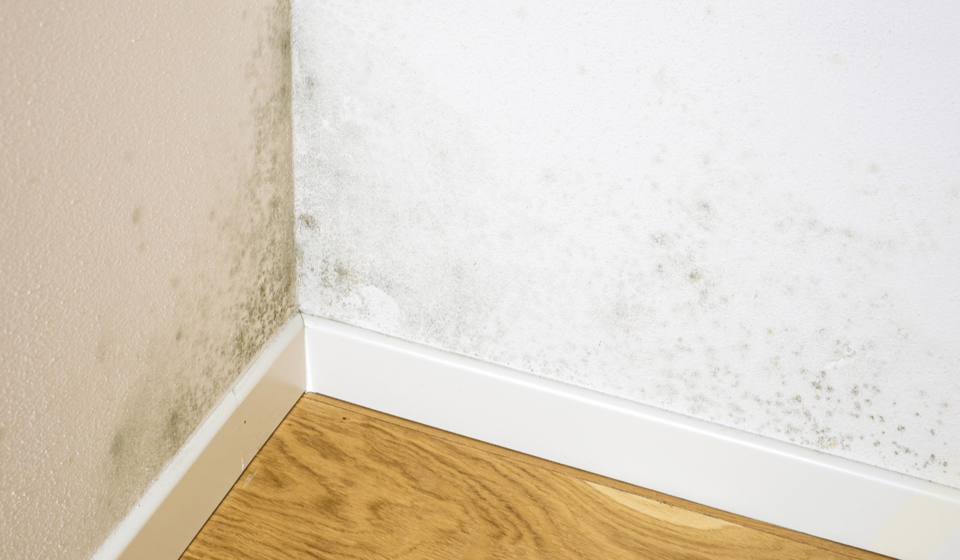 Can You Finish a Basement With Moisture Problems? How to Control Humidity and Prevent Flooding